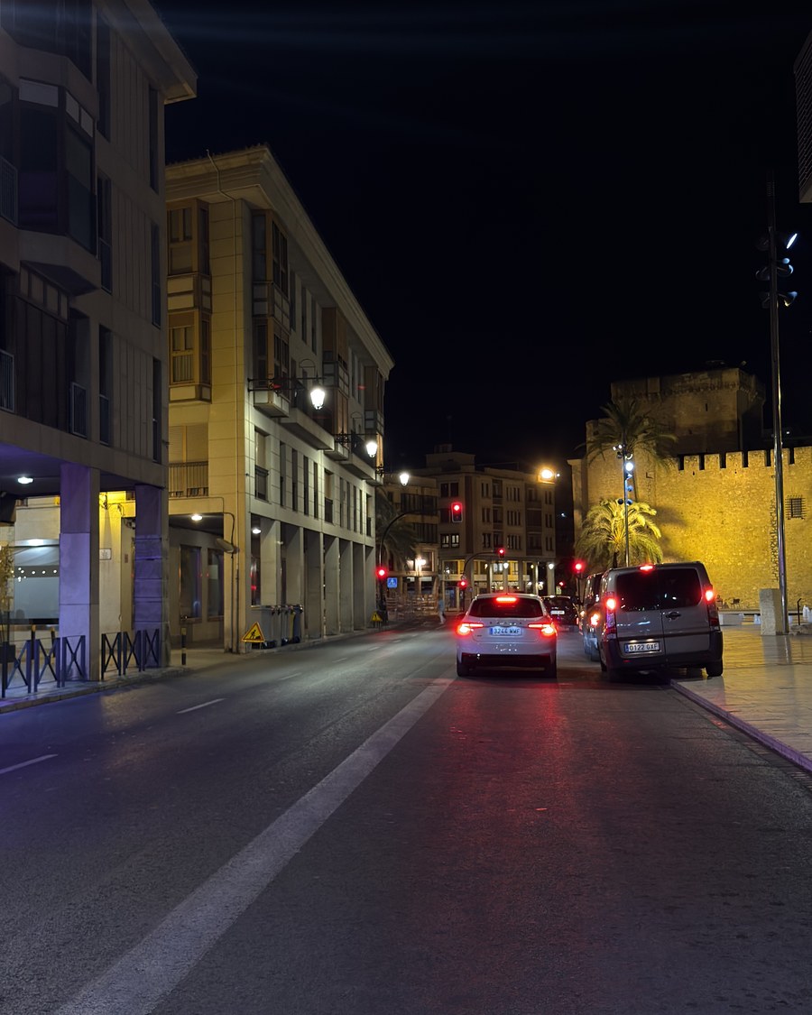 Elche de noche